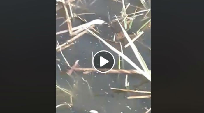 Астраханские власти опровергают очередной фейк