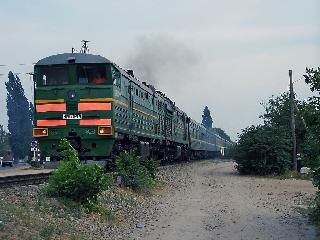 Из Астрахани в Москву «ехали» 240 килограмм осетрины