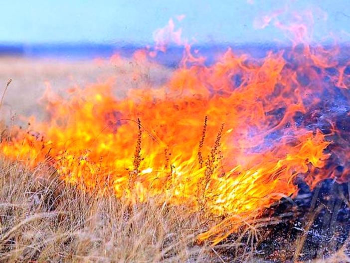 Завтра  астраханцев ожидает жара с высокой пожароопасностью