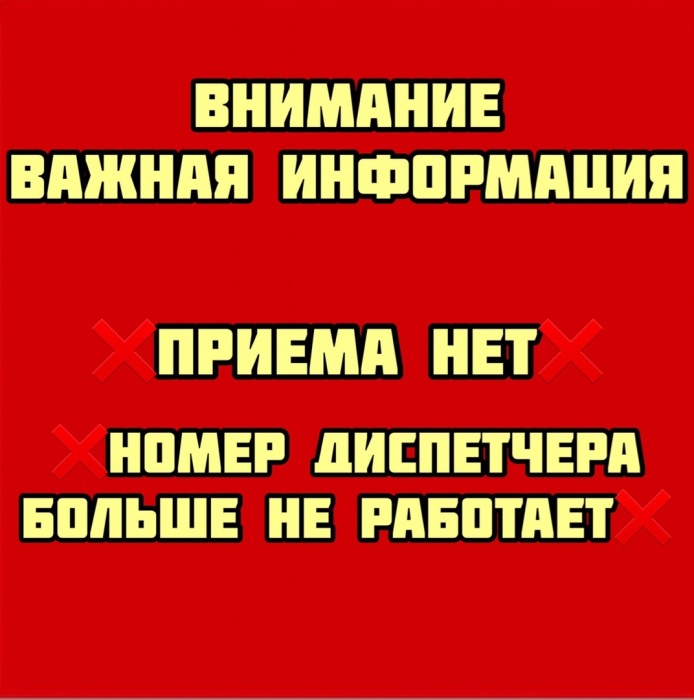 Астраханский приют "Верный друг" больше не принимает животных