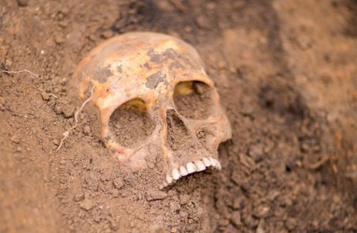 В двух районах Астраханской области нашли человеческие останки