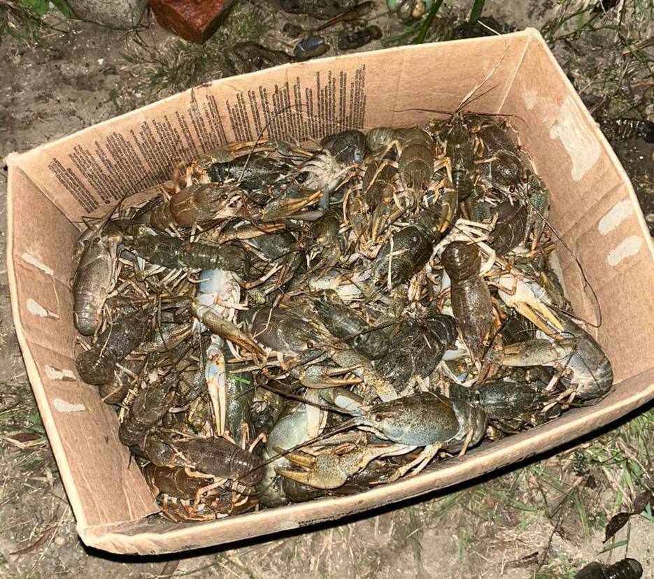Астраханские полицейские спасли от смерти полтонны раков