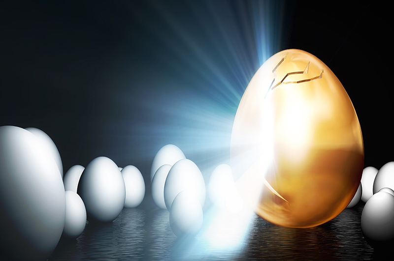 ФАС проверяет астраханские птицефабрики из-за скачка цен на яйца