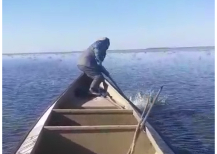 Астраханец напал на волка в раскатной части дельты Волги