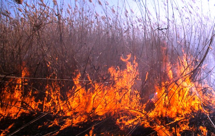 Опять горит на раскатах: удушливый запах тростниковой гари накроет Астрахань и пять районов
