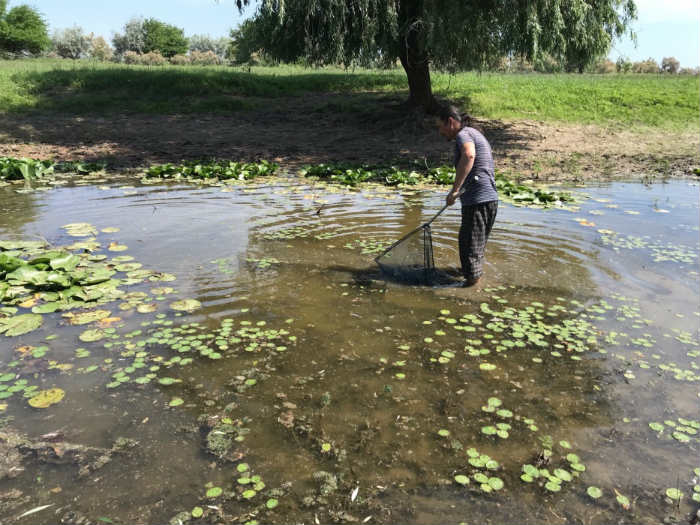 Игорь Бабушкин: прогноз по паводку на 2020 год не лучше, чем в 2019 году