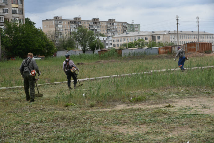 Власти Астрахани ведут усиленную борьбу с камышом