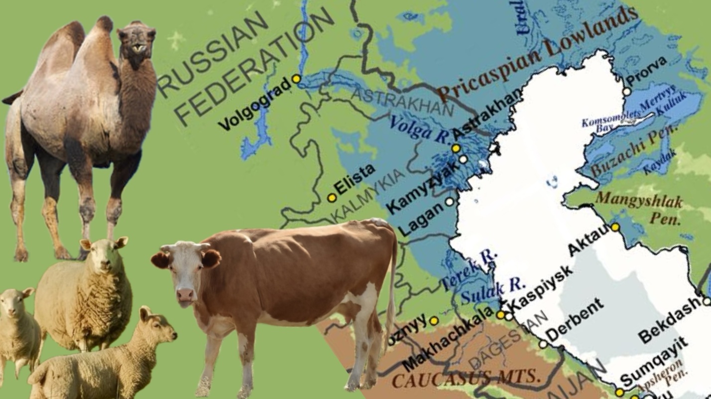 Астраханский маршрут войдет в международный проект под эгидой ООН