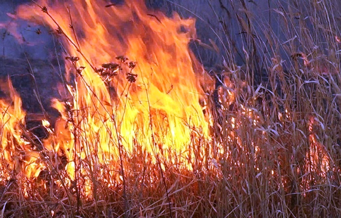 На северо-востоке Астрахани экипажи МЧС сражаются с ландшафтным пожаром