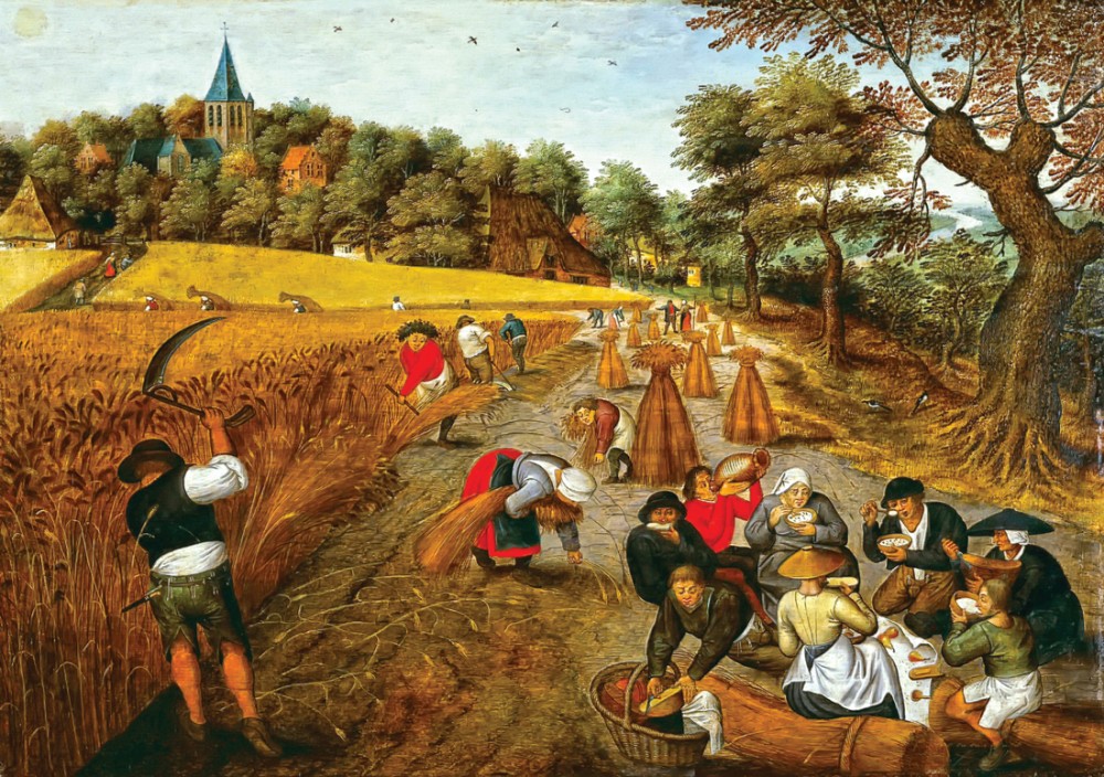 Полмиллиарда за год потратило государство на поддержку астраханских фермеров