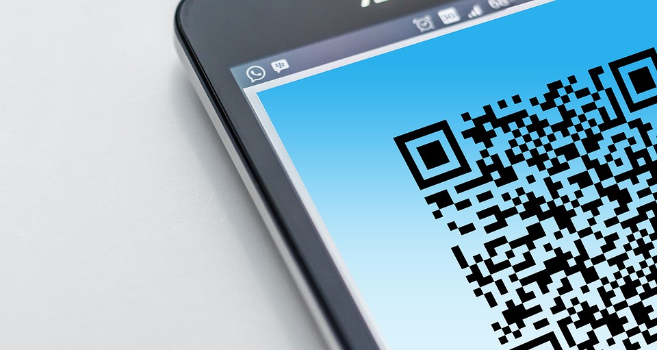 На сентябрьских выборах в Астраханской области применят QR-коды