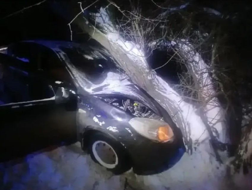 Врезался в дерево и погиб на месте: смертельное ДТП произошло в Астрахани