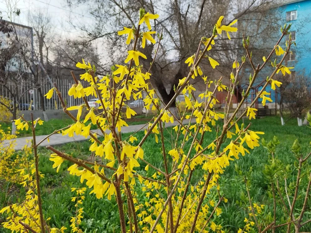 Апрель принесет астраханцам 25-градусное тепло и заморозки
