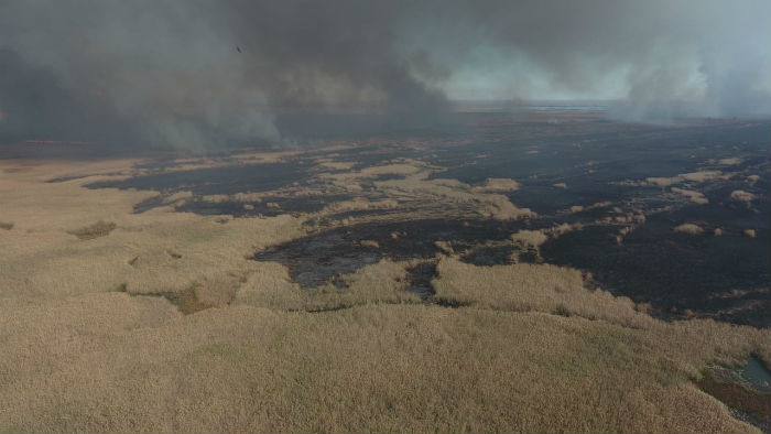 Рядом с Астраханским заповедником подожгли остров