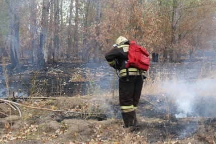 Не прошло и года: пожарные начали дежурить в дельте Волги