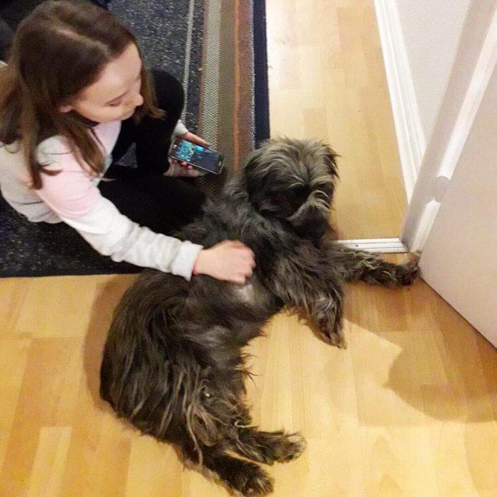 Еще одна астраханская собачка стала жить лучше, чем мы (ВИДЕО)