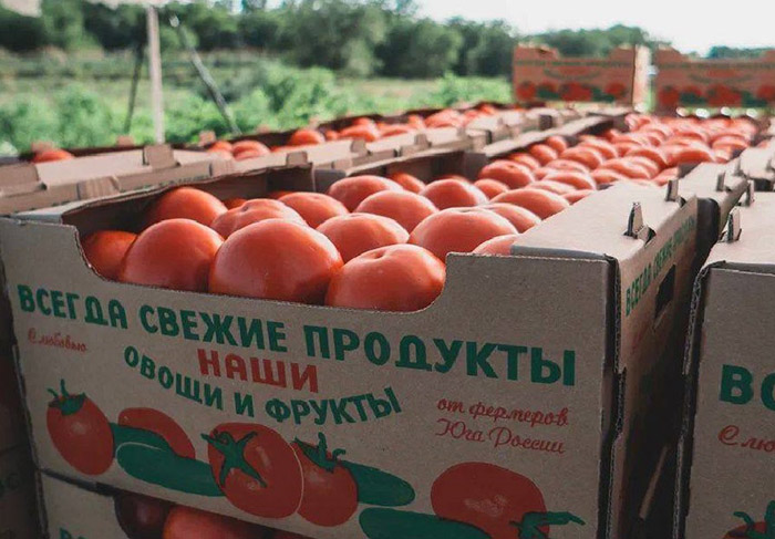 Три четверти всех российских помидоров - астраханские