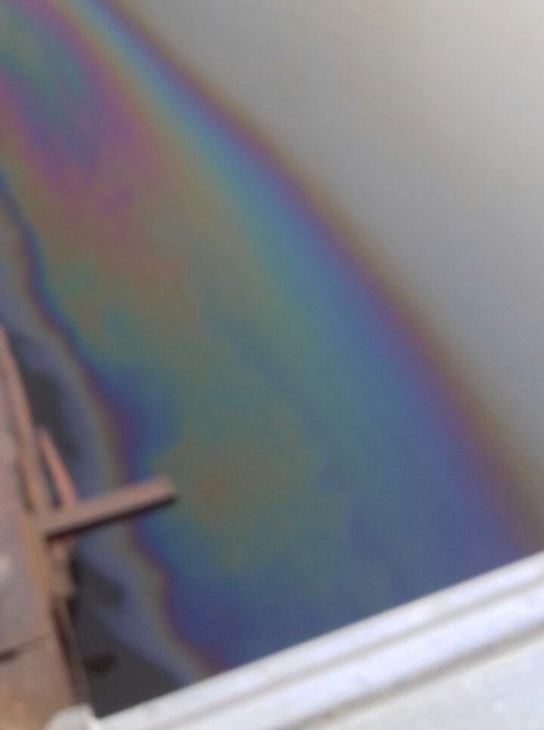 Астраханцы заметили очередное загрязнение реки нефтепродуктами