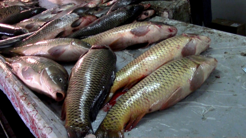 В Астрахани на рынке изъяли 300 килограммов сомнительной рыбы