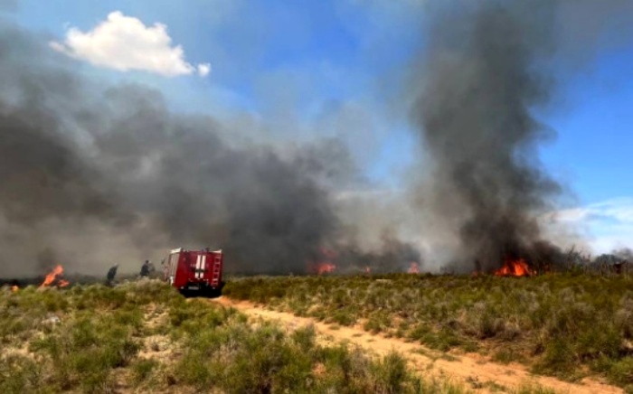 На северной окраине Астрахани несколько часов тушили ландшафтный пожар