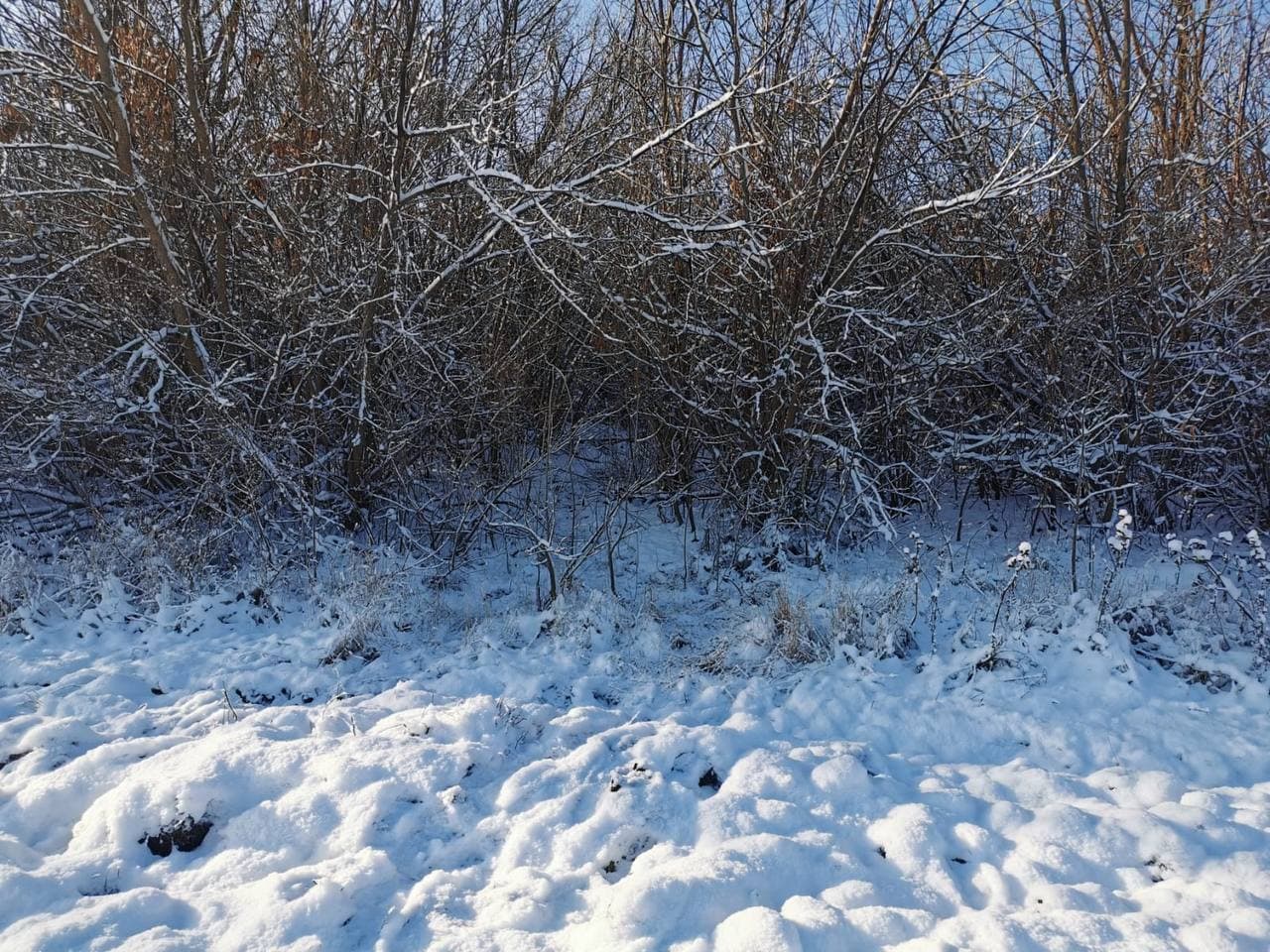 Астраханец, случайно убивший напарника на охоте, получил 10 месяцев исправительных работ