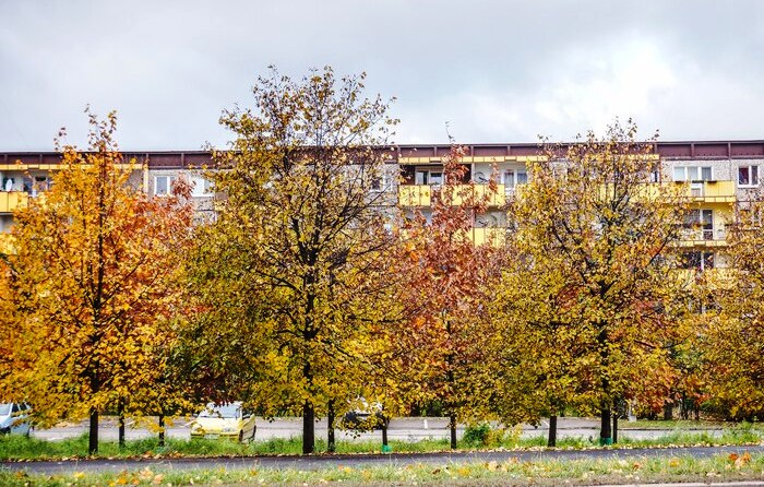 Ночью в Астраханской области температура упадет почти до нуля, а днем поднимется до +18°