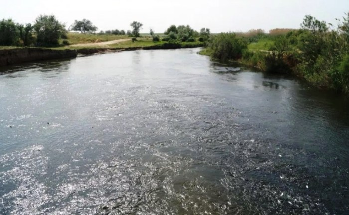 Ученые КаспНИРХа: половодье-2024 в Астраханской области было близко к оптимальному