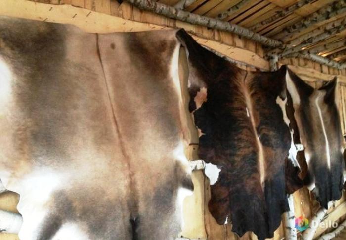 В Астраханской области не пропустили 40 тонн коровьих шкур из Казахстана