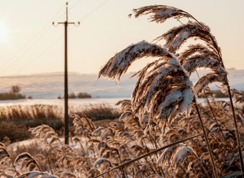 Год назад в Астрахани было на 15 градусов теплее