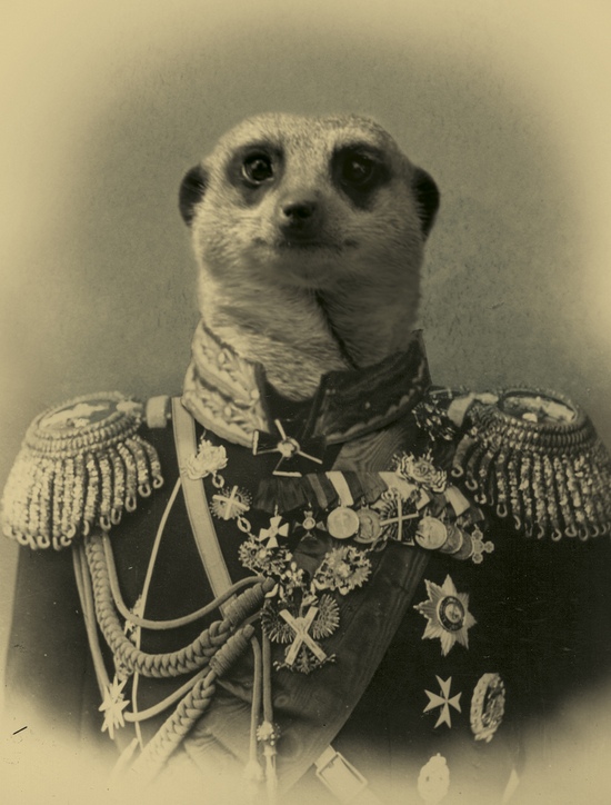 Степновский сельсовет (часть 1): «на выборы – со своими избирателями» (с)