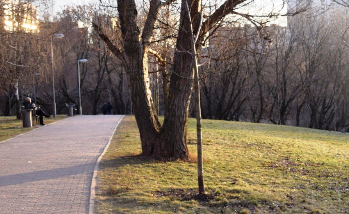 Утром в Астраханской области  ожидается гололедица, а днем – новая весенняя иллюзия