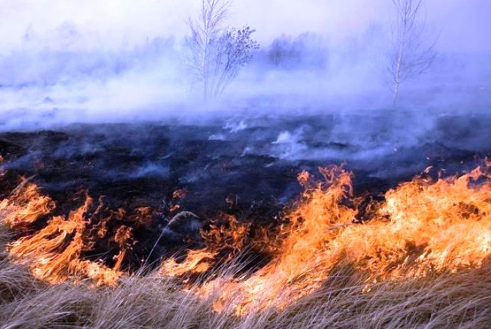 МЧС вновь предупреждает о высоком риске пожаров в Астраханской области 