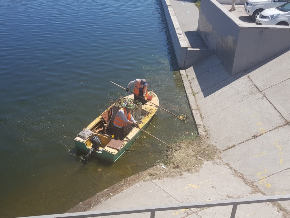 Фото дня: с тиной не стали тянуть