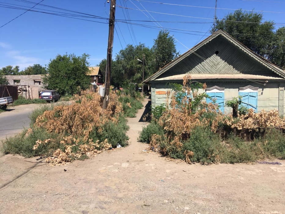 Астраханцев пугают горы веток и шатающиеся опоры ЛЭП у дома