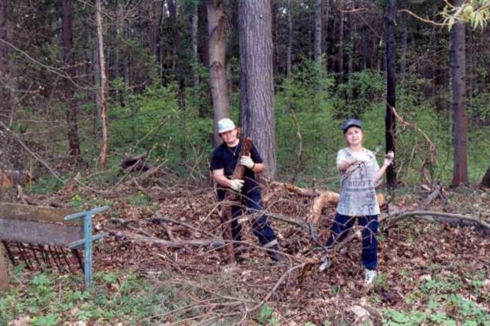 Астраханцам рассказали, как правильно собирать валежник