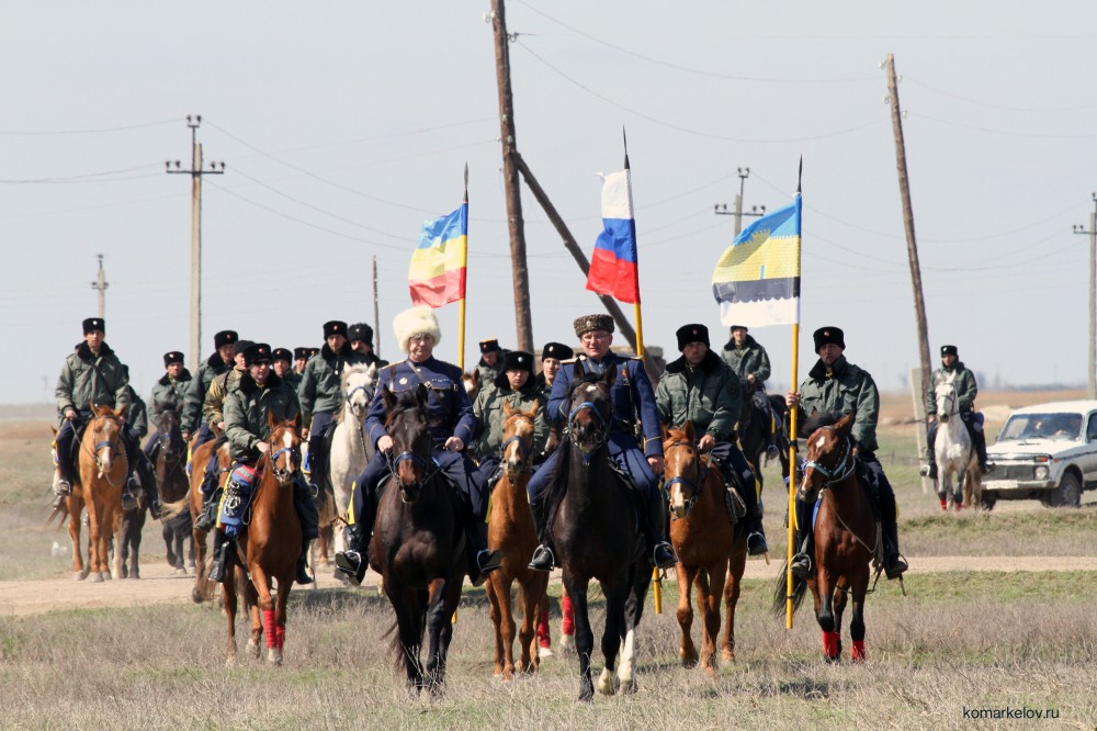Казаки Юга России организуют конный поход от Волгограда до Севастополя