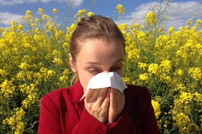 Астрахань назвали одним из лучших городов для аллергиков 