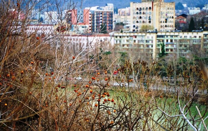И снова в Астраханской области установится не зимний день  - с дождем и без миллиграмма снега