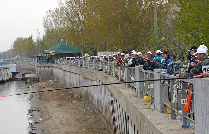 Фестивалю «Вобла» - 25 лет. Что об этом думают «звезды володарского разлива»?