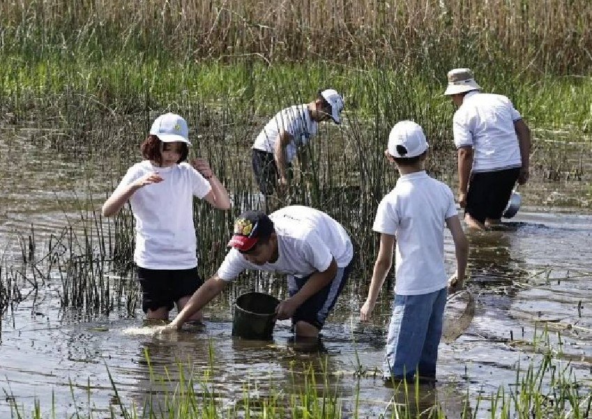 114 миллионов мальков спасли из отшнурованных водоемов в Астраханской области