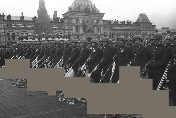 Союз Ветеранов РФ возмущен решением Минкульта о запрете свастики 