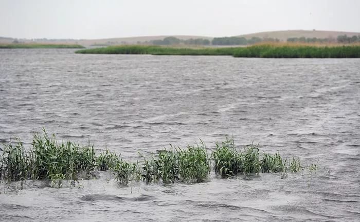 Астраханцев ждет самый полноводный за последние 40 лет паводок  