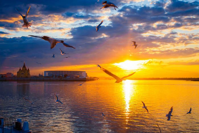 Эксперты обнародовали проект спасения Волго-Ахтубинской поймы