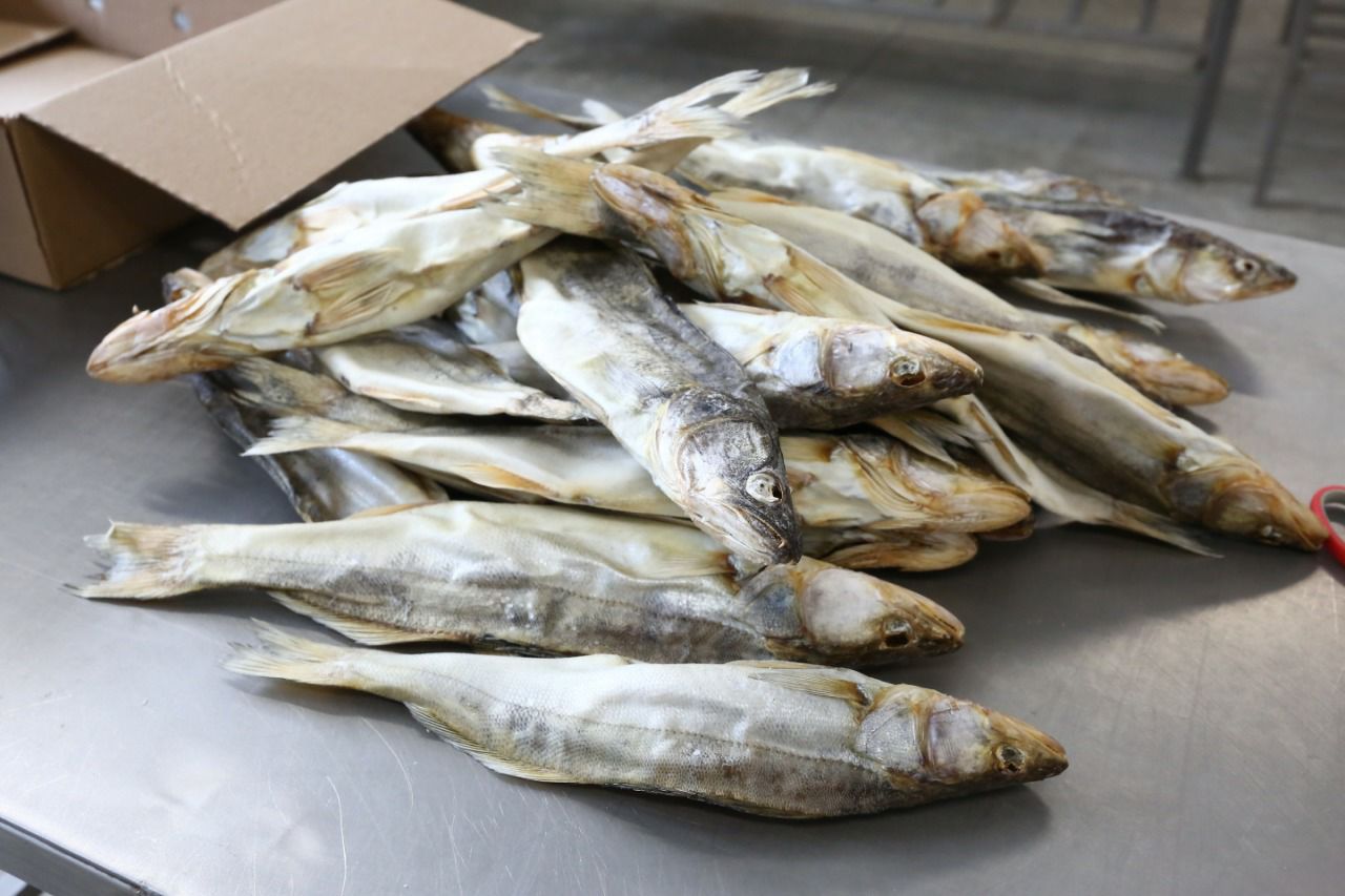 Где и когда астраханцы могут купить рыбу подешевле