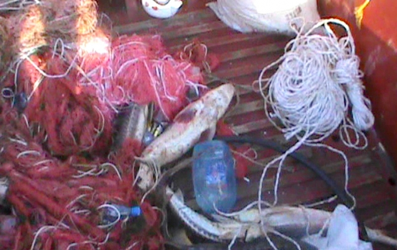 Под Астраханью бойцы СОБР задержали браконьеров: пришлось применить оружие