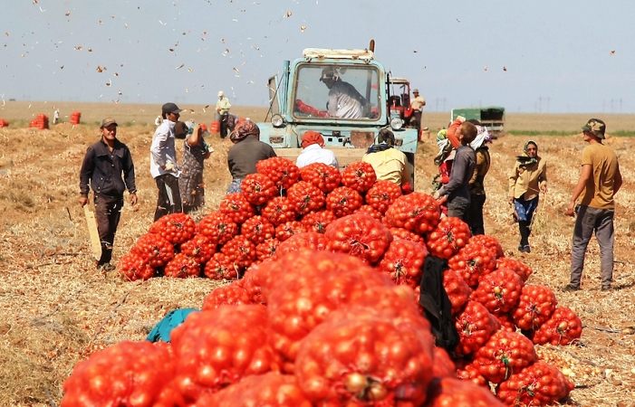 Астраханский агрокомплекс нацелен на новый рекорд по валовому производству