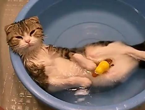 Завтра в Астрахани будет очень жарко