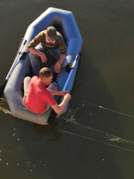 Рыба любой ценой. В центре Астрахани засняли беспредел 