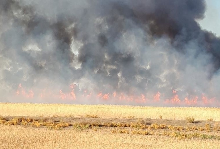 Жара, ветер и чрезвычайная пожароопасность прогнозируются в Астрахани
