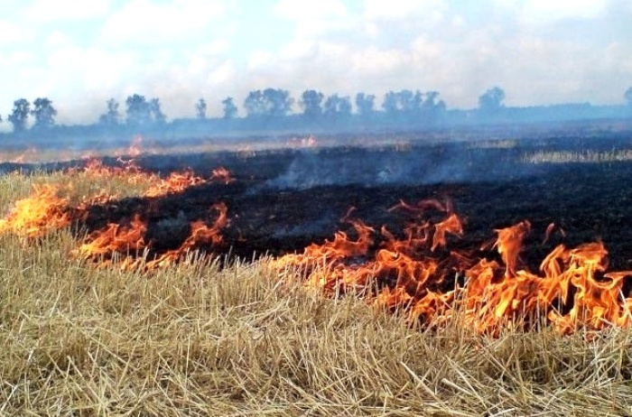 Власти и МЧС предупреждают: в Астраханской области возможна высокая пожароопасность